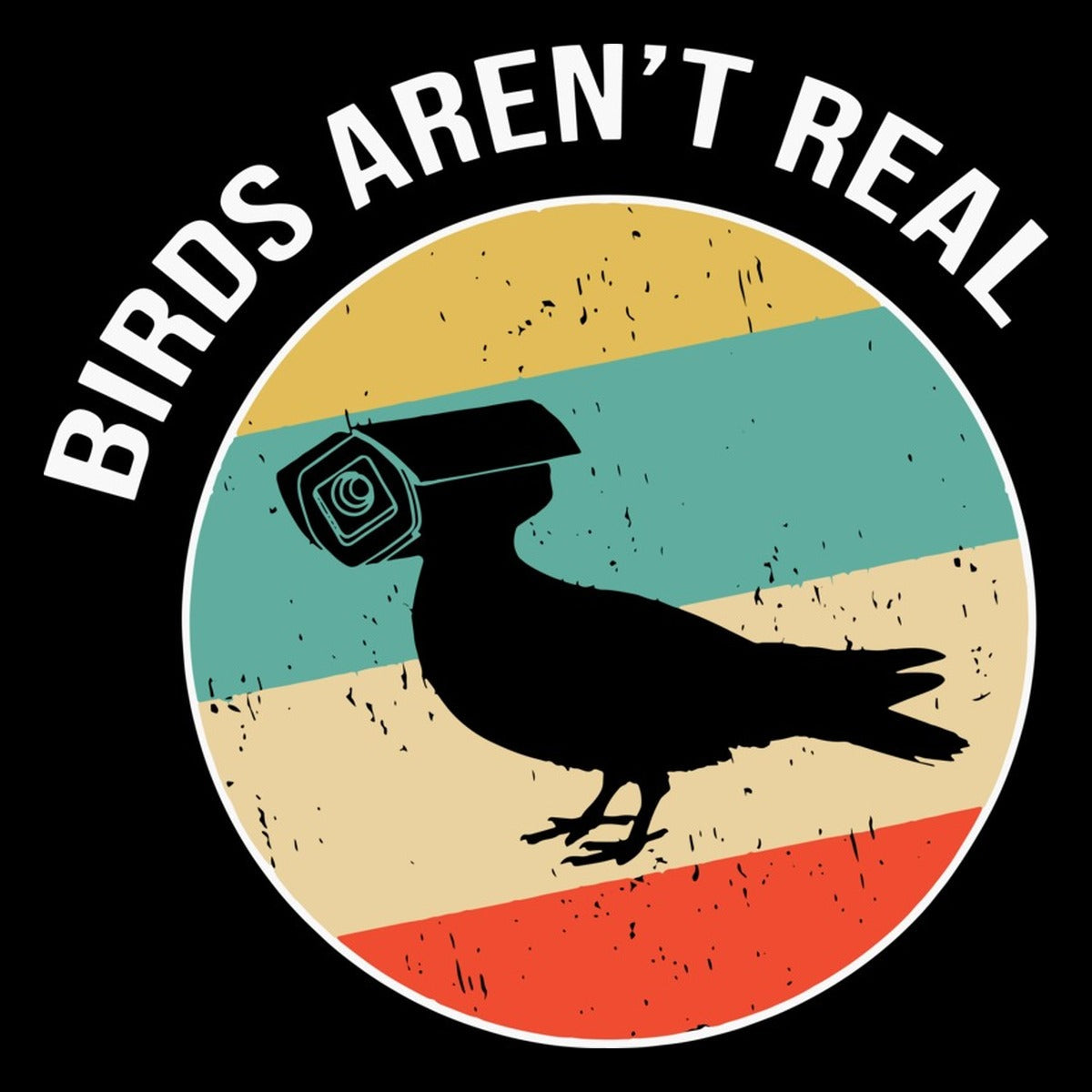 Birds Aren't Real Bella Canvas Unisex Tee